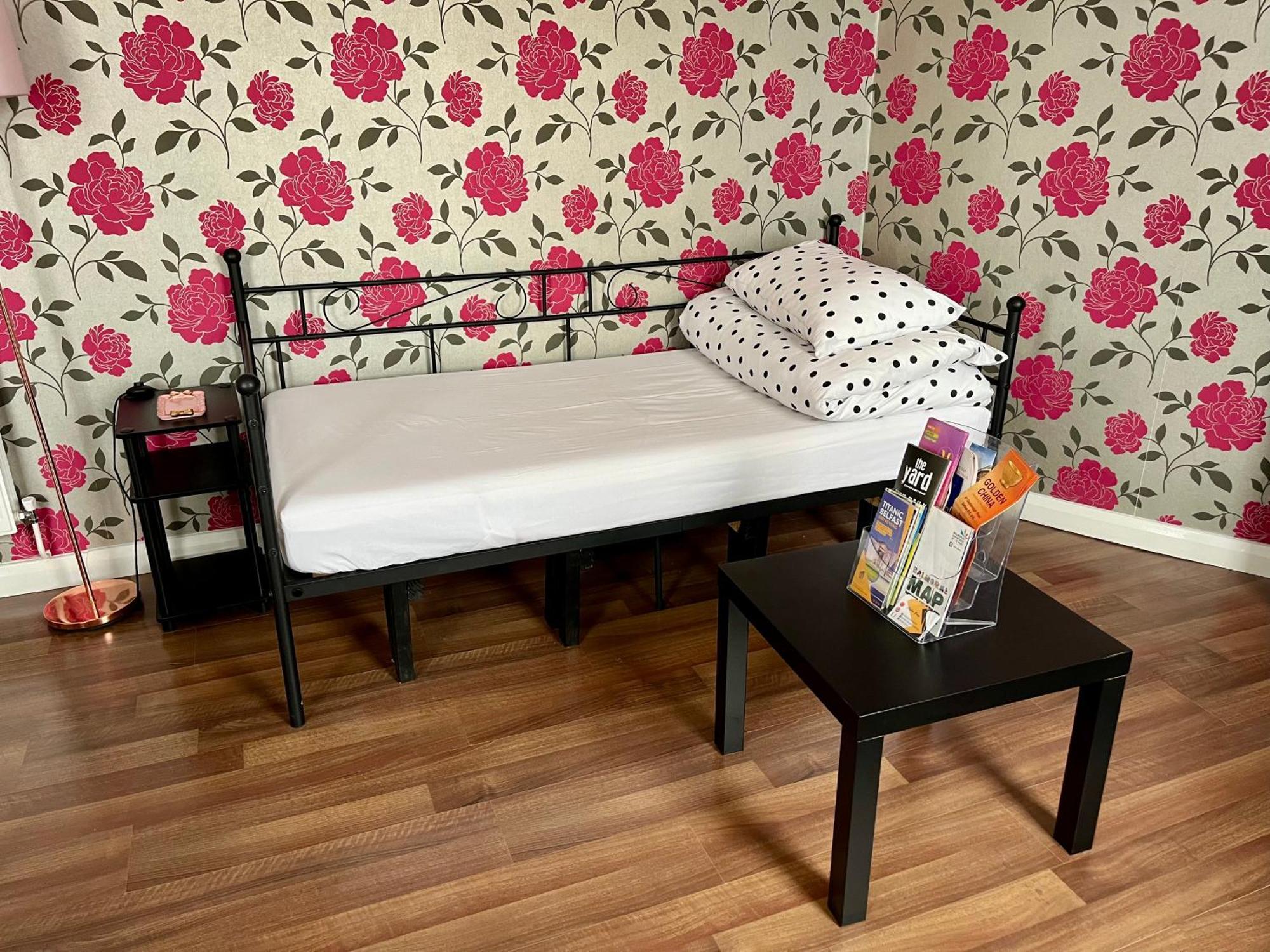 Entire Pinkapt - Free Parking - Up To 4 Guests - 3 Beds - Close To City Centre Белфаст Экстерьер фото